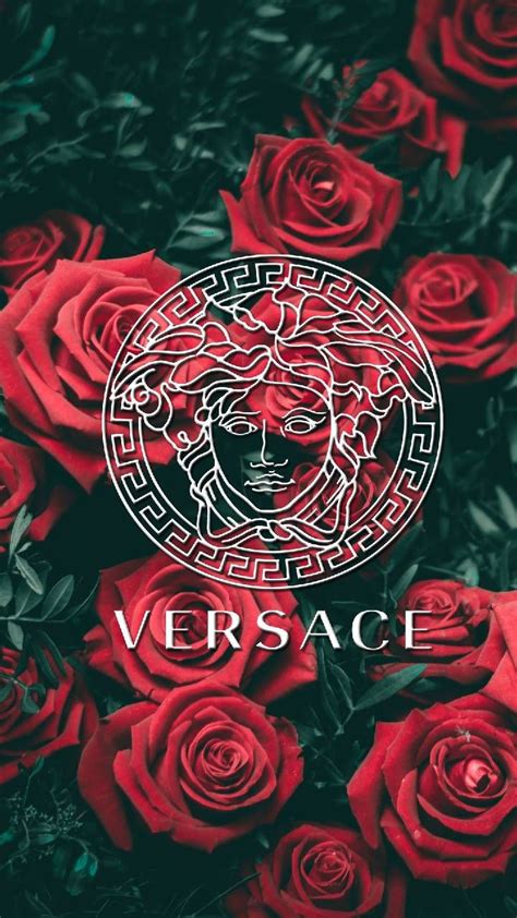 versace обои на телефон